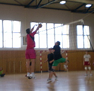 PA290082.jpg
