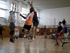 PB170140.JPG